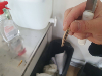 ELECTROLYSIS OF WATER